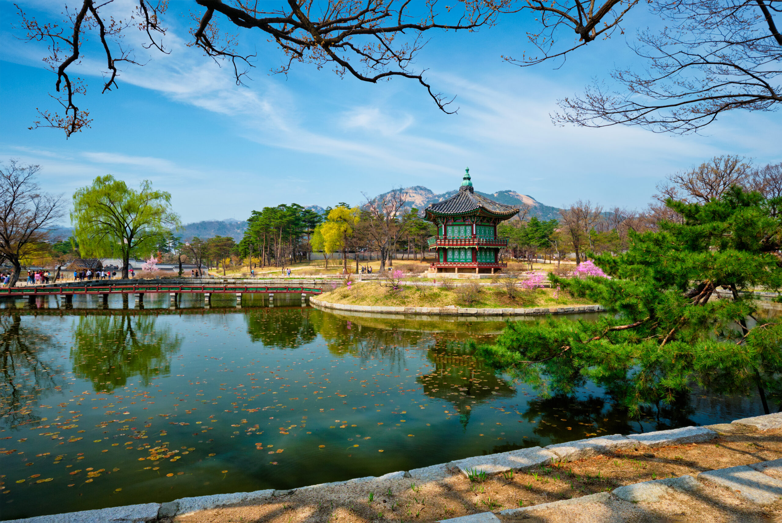 Do You Need to Speak Korean in Korea?